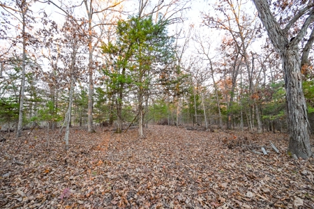 Land For Sale in Hickory County, MO - image 34