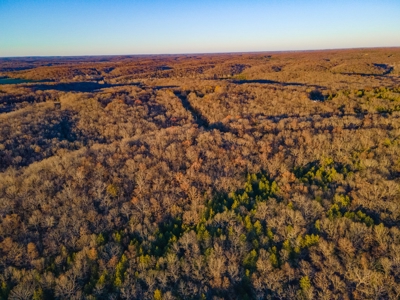 Land For Sale in Hickory County, MO - image 7