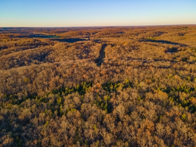 Land For Sale in Hickory County, MO - image 6