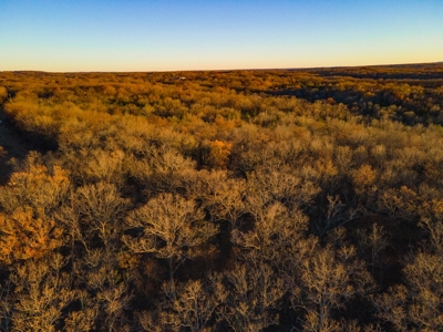 Land For Sale in Hickory County, MO - image 13