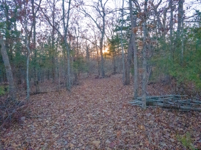 Land For Sale in Hickory County, MO - image 17