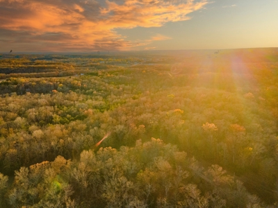Land For Sale in Hickory County, MO - image 36