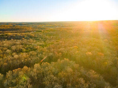 Land For Sale in Hickory County, MO - image 1