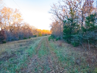 Land For Sale in Hickory County, MO - image 20