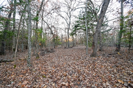 Land For Sale in Hickory County, MO - image 27
