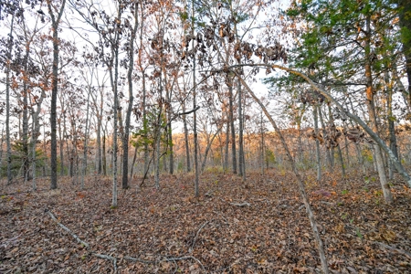 Land For Sale in Hickory County, MO - image 31