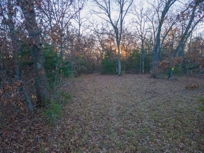 Land For Sale in Hickory County, MO - image 15