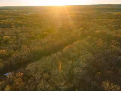 Land For Sale in Hickory County, MO - image 3