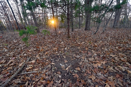Land For Sale in Hickory County, MO - image 28