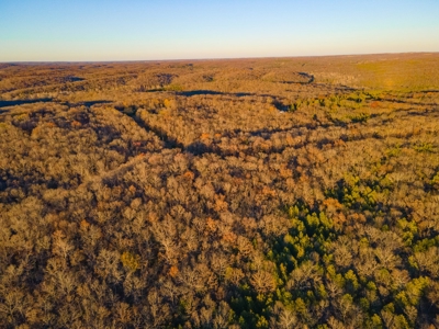 Land For Sale in Hickory County, MO - image 8