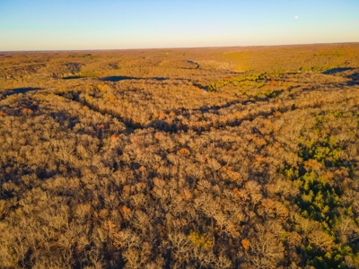 Land For Sale in Hickory County, MO - image 9