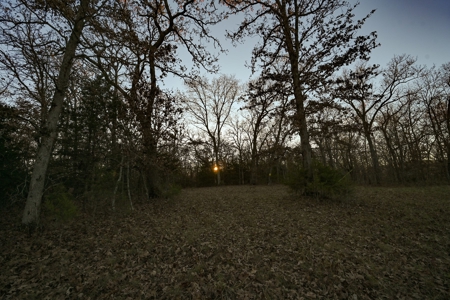 Land For Sale in Hickory County, MO - image 25