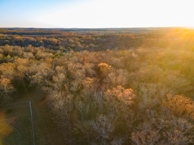 Land For Sale in Hickory County, MO - image 24