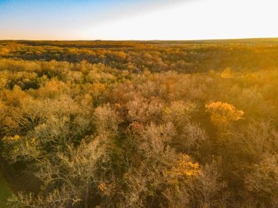 Land For Sale in Hickory County, MO - image 23