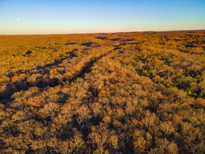 Land For Sale in Hickory County, MO - image 12