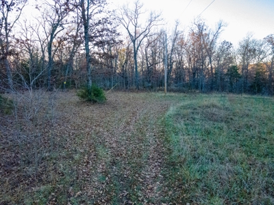 Land For Sale in Hickory County, MO - image 21