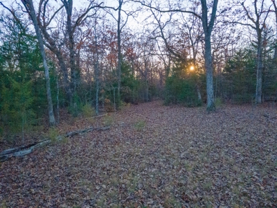 Land For Sale in Hickory County, MO - image 16