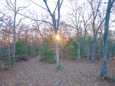 Land For Sale in Hickory County, MO - image 18