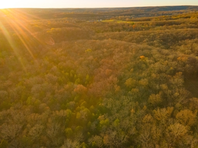 Land For Sale in Hickory County, MO - image 4