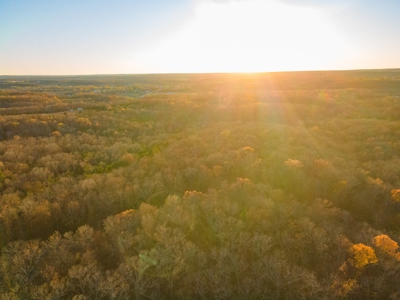 Land For Sale in Hickory County, MO - image 2