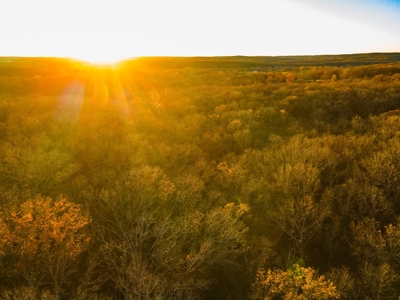Land For Sale in Hickory County, MO - image 22
