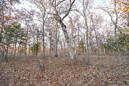 Land For Sale in Hickory County, MO - image 29