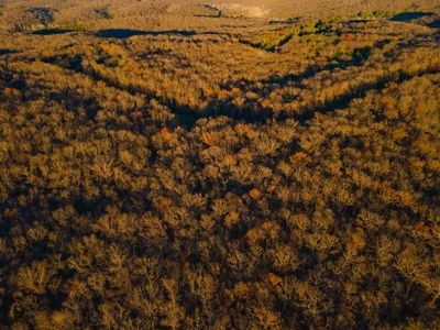 Land For Sale in Hickory County, MO - image 10