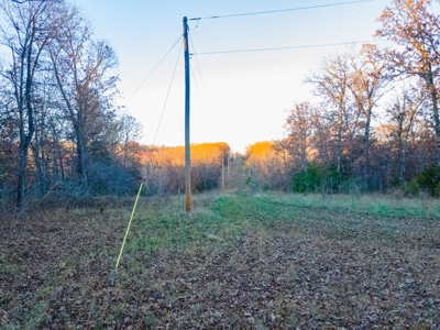 Land For Sale in Hickory County, MO - image 19