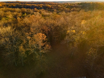 Land For Sale in Hickory County, MO - image 14