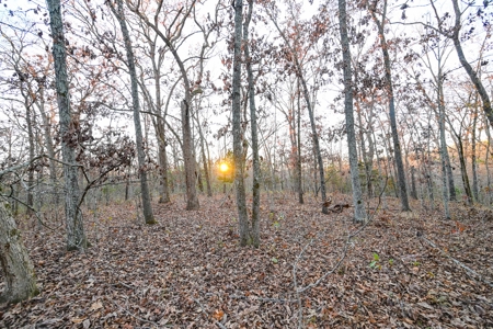 Land For Sale in Hickory County, MO - image 30