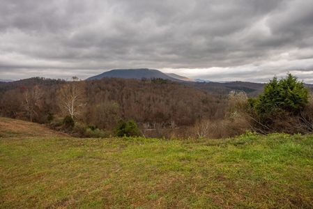 Farmland for Sale in Giles County VA - image 24