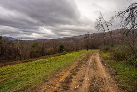 Farmland for Sale in Giles County VA - image 12