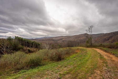 Farmland for Sale in Giles County VA - image 15