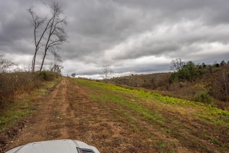 Farmland for Sale in Giles County VA - image 10