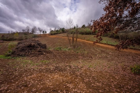 Farmland for Sale in Giles County VA - image 1