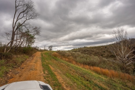 Farmland for Sale in Giles County VA - image 13