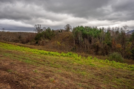 Farmland for Sale in Giles County VA - image 11