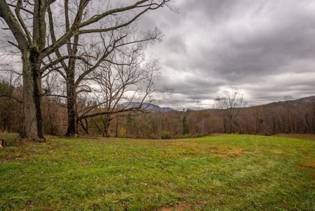 Farmland for Sale in Giles County VA - image 9