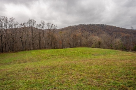 Farmland for Sale in Giles County VA - image 6