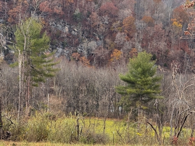 Farmland for Sale in Giles County VA - image 33