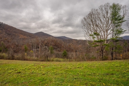 Farmland for Sale in Giles County VA - image 8