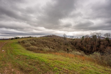 Farmland for Sale in Giles County VA - image 17