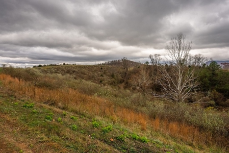 Farmland for Sale in Giles County VA - image 14