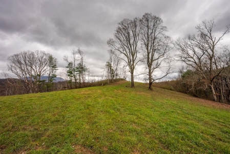 Farmland for Sale in Giles County VA - image 4