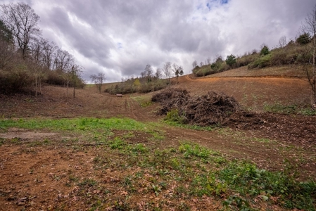 Farmland for Sale in Giles County VA - image 2