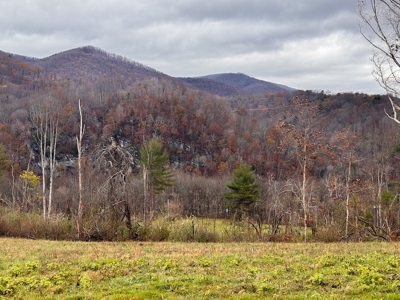 Farmland for Sale in Giles County VA - image 34