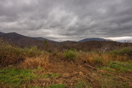 Farmland for Sale in Giles County VA - image 18