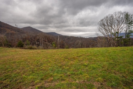 Farmland for Sale in Giles County VA - image 5