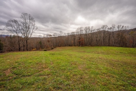 Farmland for Sale in Giles County VA - image 3