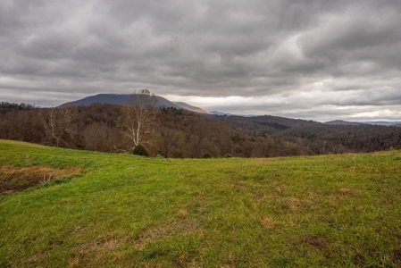 Farmland for Sale in Giles County VA - image 21